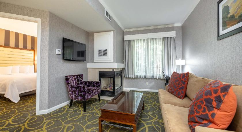 Image of Suite - 1 King Bed, Nonsmoking, Fireplace, Whirlpool Tub, Separate Living Area, Balcony, Sofabed 5