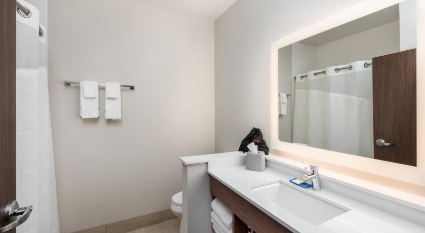 Holiday Inn Express and Suites St Louis-Chesterfield photo