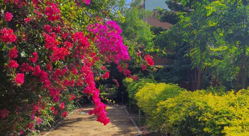 Shivalaya Arunachala photo