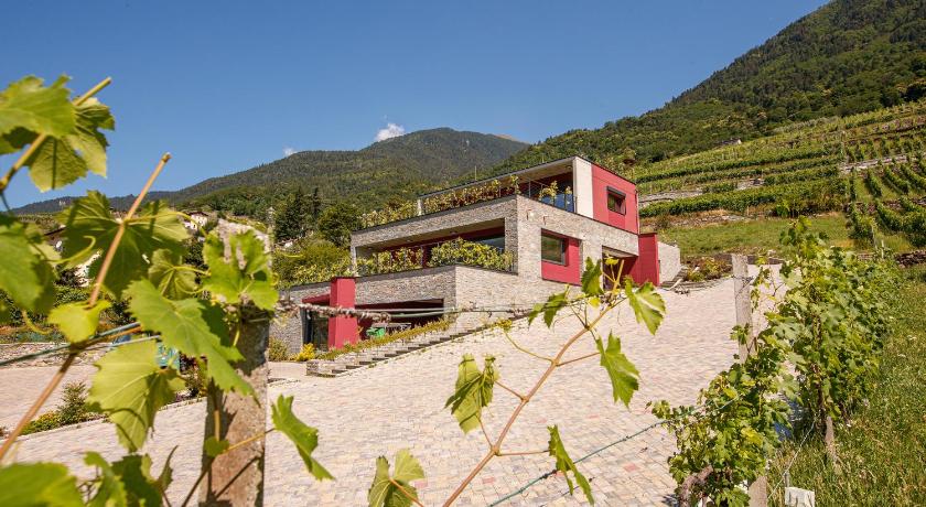 Nebbiolo Wine B&B - Winery & Vineyard Valtellina