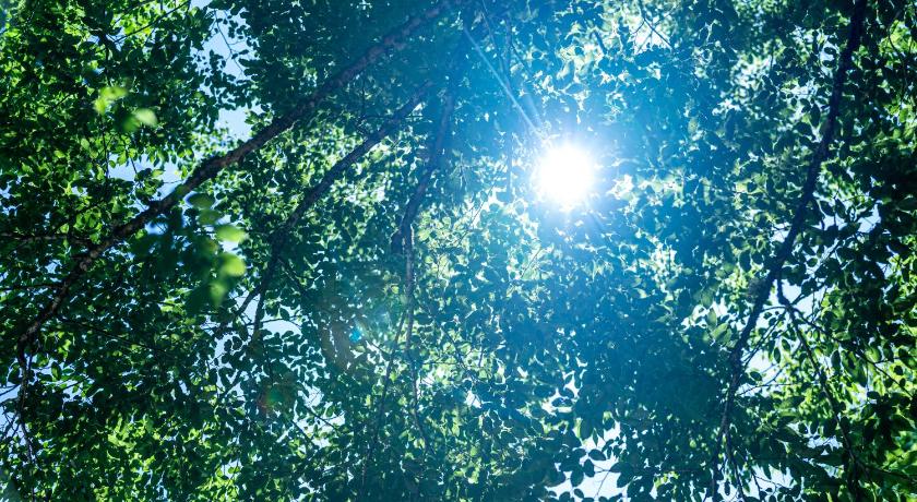 우치코 深山山荘 DENCHI 3성급 숙소 부대시설