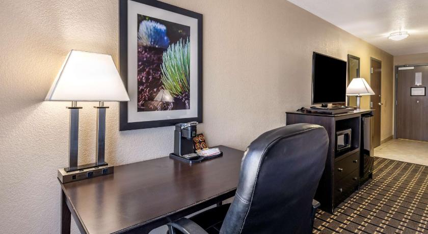 Image of Suite - 1 King Bed, Nonsmoking, Full Kitchen 4