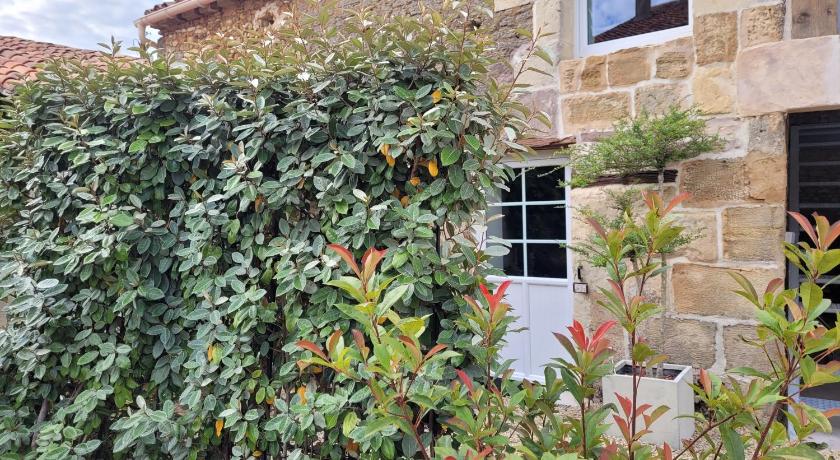 Au creux des vignes — Hotel in Doue-la-Fontaine