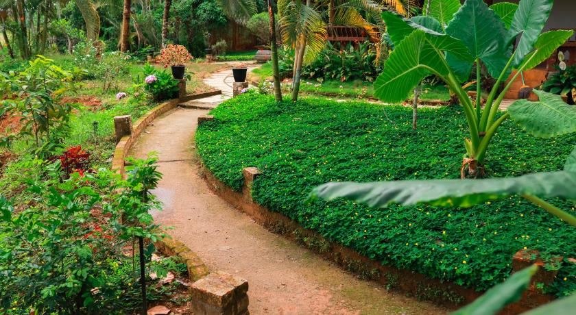 Wayal Wayanad Farm Resort photo