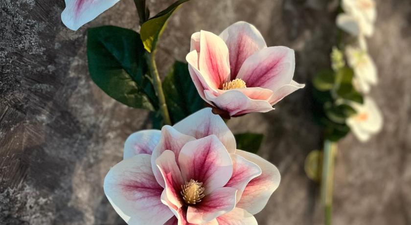 Cameron Highlands Comfortable Aloft Cameron Highlands  3-Star Single Room view