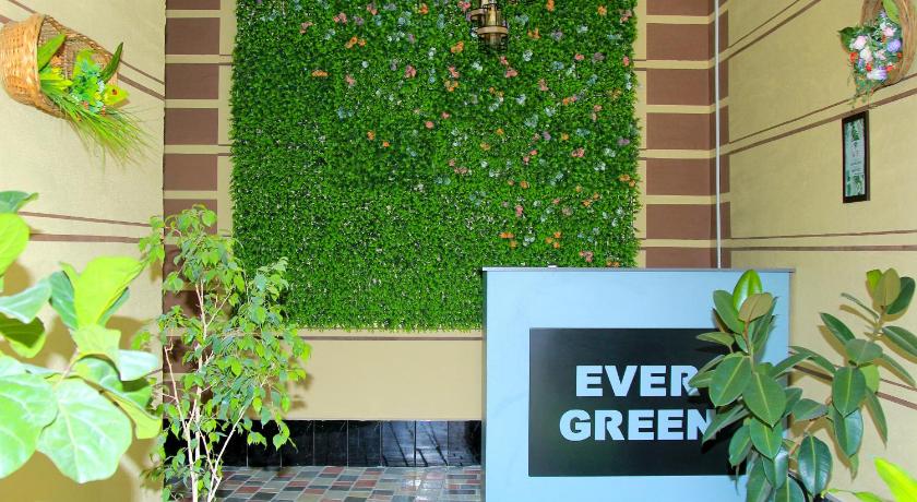 Guest House Evergreen photo