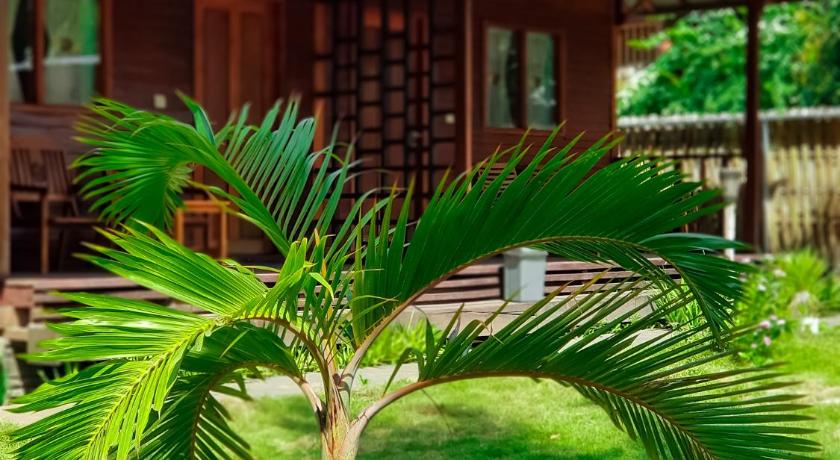Leaf Coco Bungalow photo