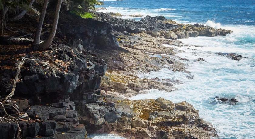 Open Gate Hostel Hawaii photo