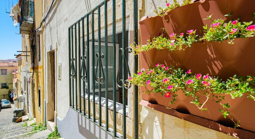 NEW! Unique 1 bedroom apartment- Santa Catarina 42 photo