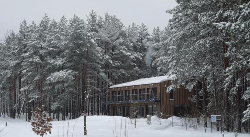 Pusu takas photo