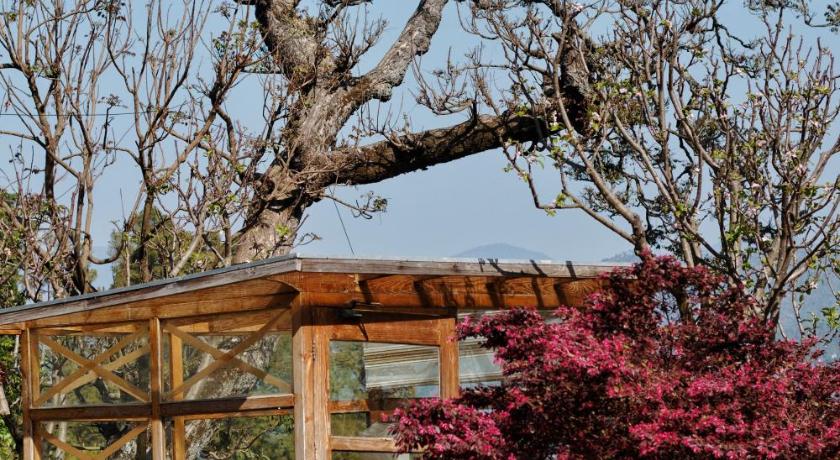 Deodar Homestay photo