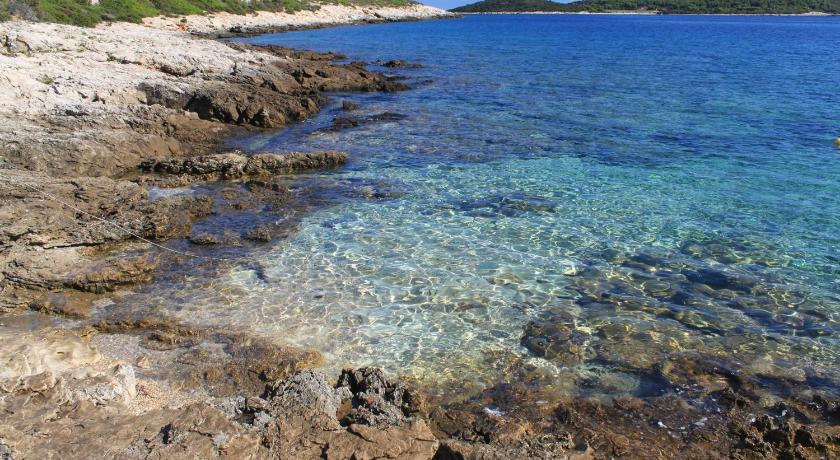 Apartments by the sea Brgujac, Vis - 8899 photo