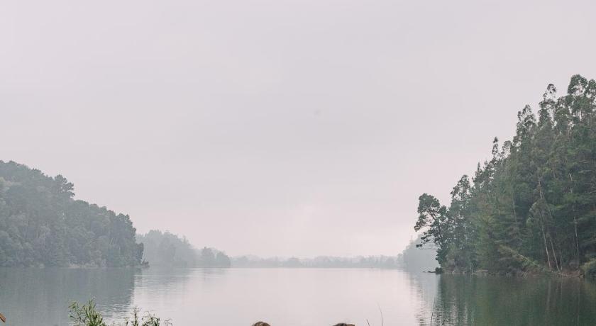 Pura Lodge photo