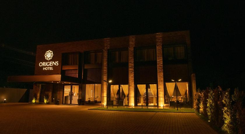 圣路易斯·贡萨加 Origens Hotel 3星级 酒店 客房