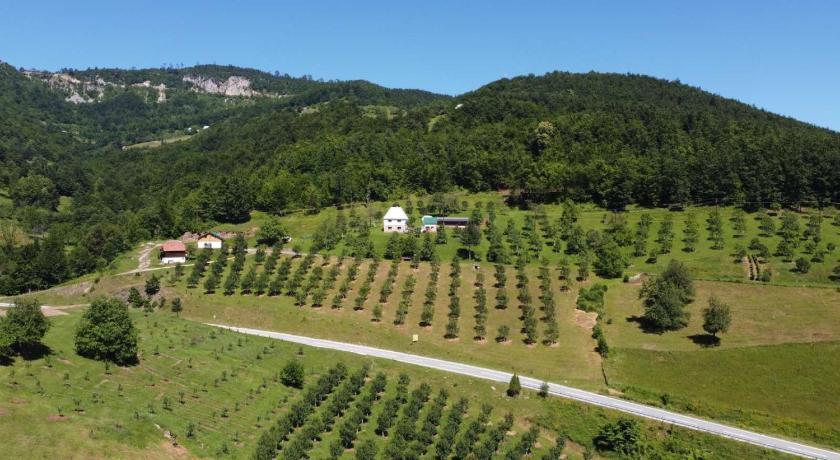 Kljajevica Orchard — Hotel in Pluzine