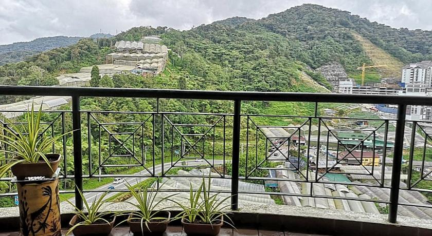 Luxury 3 bedroom Homestay at Kea Farm photo