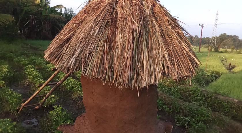 Karu Homestay photo