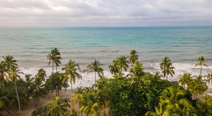COCONUCO BEACH PALOMINO photo