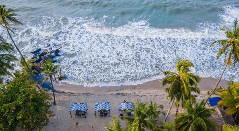COCONUCO BEACH PALOMINO photo