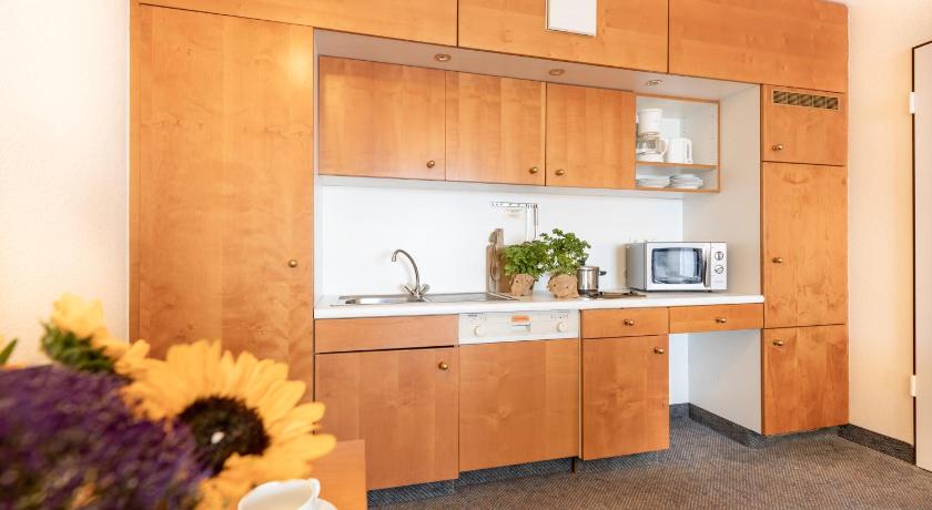 Studio tipa dzīvoklis (Studio Apartment) attēls 1
