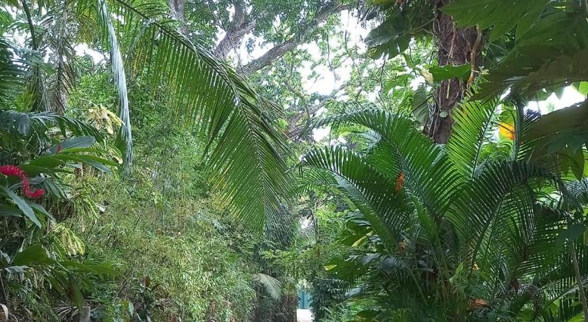 Navora Homestay - image 45