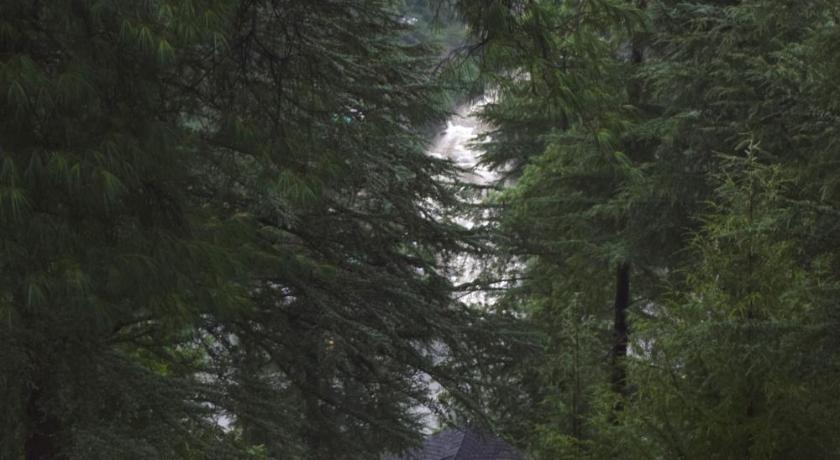Kudrat - A Boutique Homestay- Tirthan Valley photo