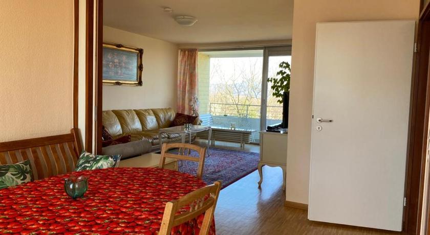 Blick über Bonn ins Siebengebirge