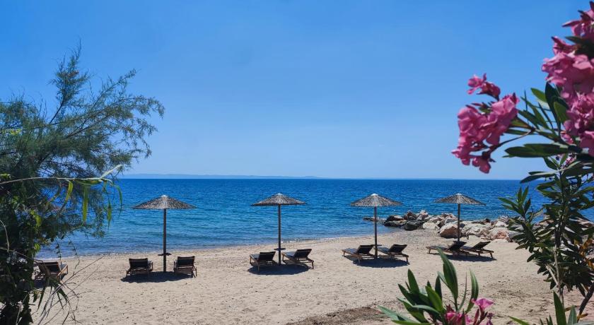 Mina's House Beachfront Apartments photo