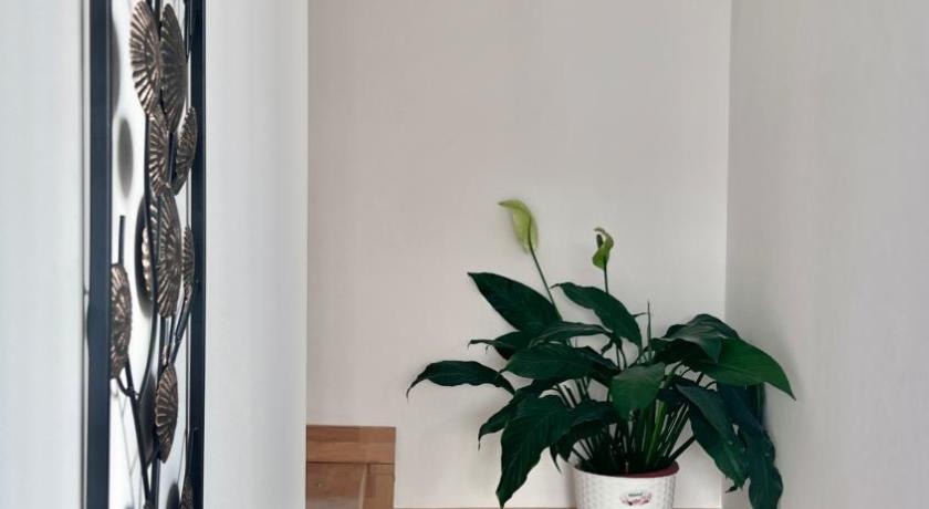 Lovely loft photo
