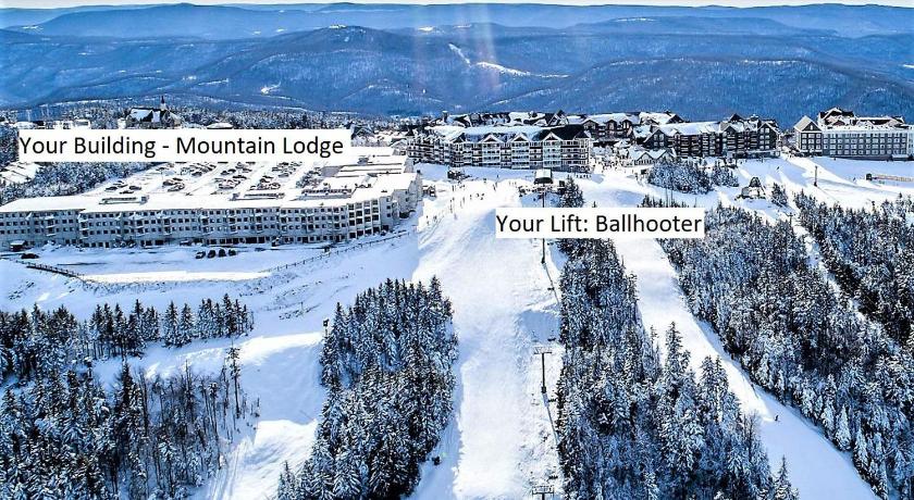 Stroll to Slopes, Village Area, Ski in-out MtLodge 236 photo