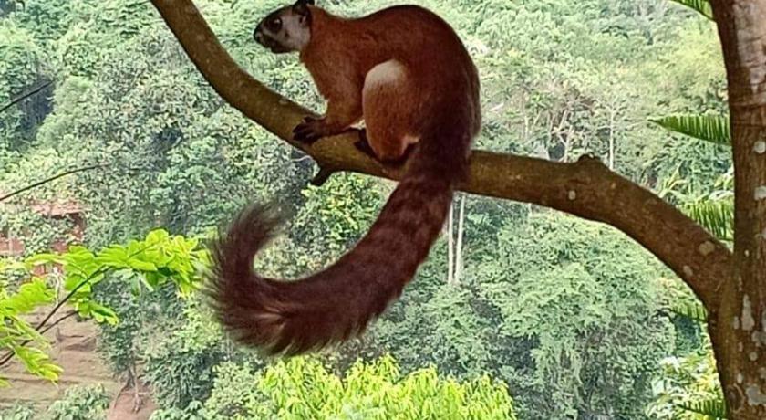 On The Rocks Bungalows, Restaurant and Jungle Trekking Tours photo