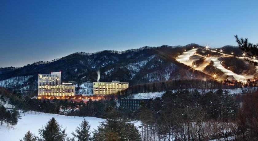 Hanwha Resort Pyeongchang photo