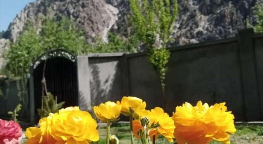 Tourist Guest House - image 11