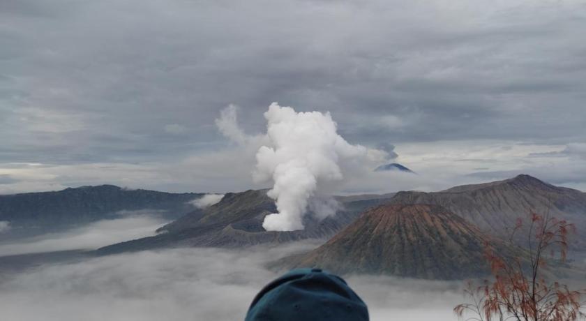 KOPIKUIN bromo homestay photo