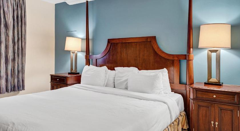 Image of Traditional Suite - 1 King Bed 7