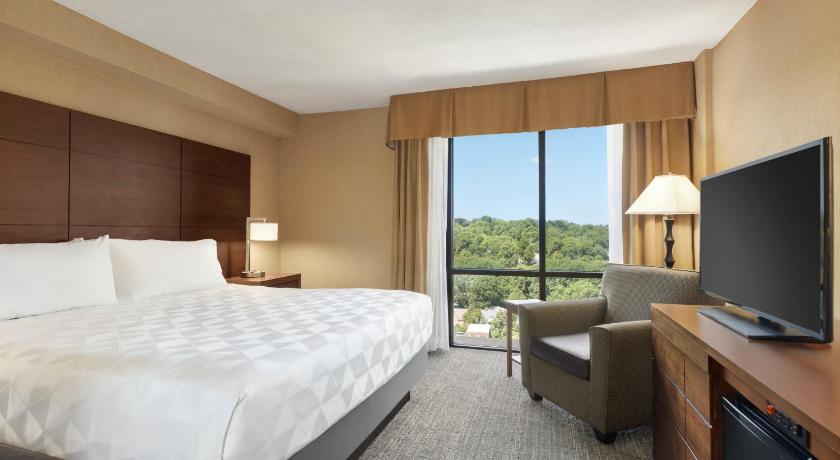 1 King Bed Suite attēls 1