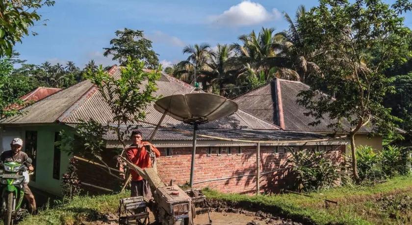 Tetabatu Rice Terrace Homestay photo