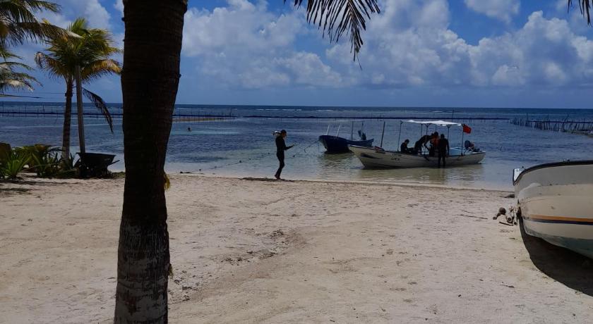 Palmeras de Mahahual Cabanas photo