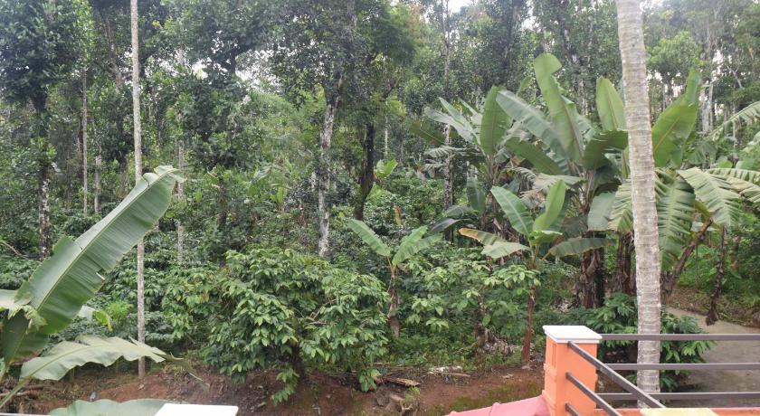 Golden Peak Estate Homestay photo