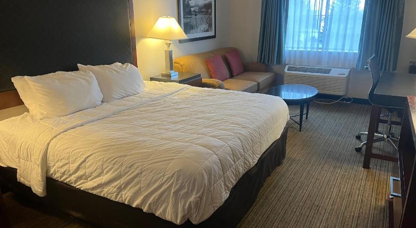 a hotel room with a bed, chair, and nightstand, Quality Inn Denver Tech Center in Denver (CO)