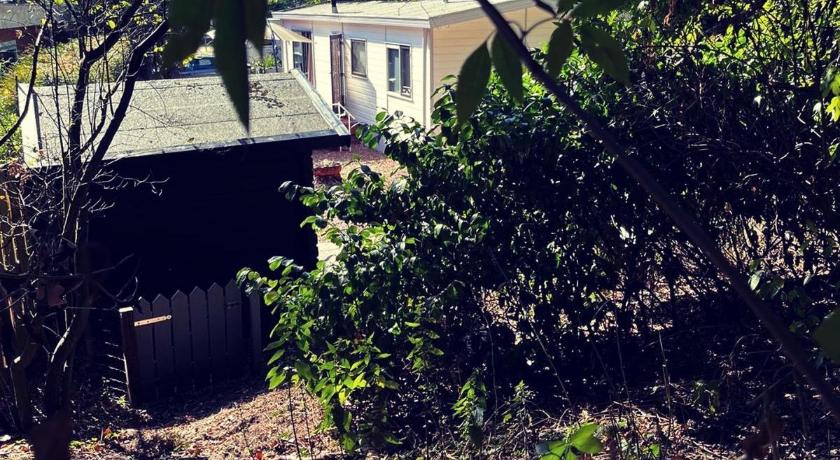 Heerlijk bos chalet met ongekende rust en vrijheid