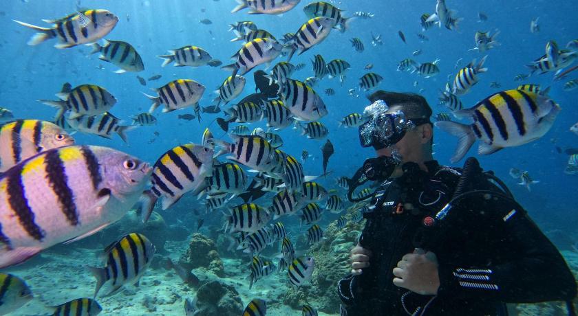 海島旅人 Diving Hostel photo