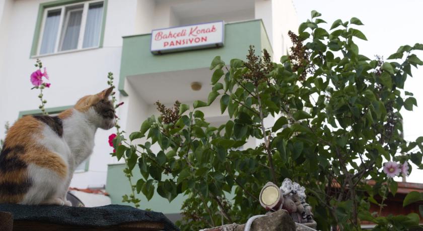 Big Garden Bahceli Konak — Hotel in Eceabat