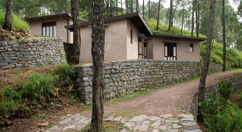 Amaya Kasauli - image 38