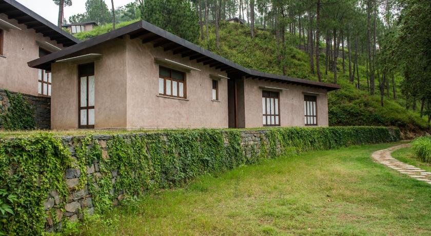 Amaya Kasauli - image 21
