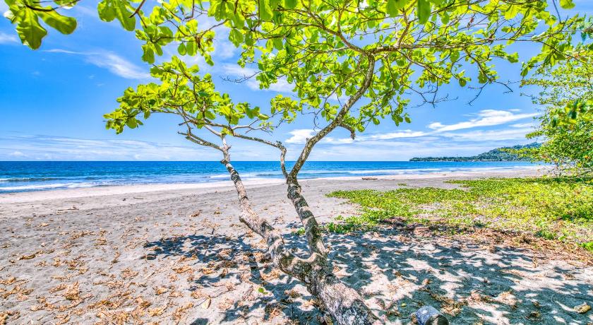 Villas Pina - Adults only photo