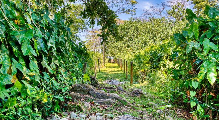 Villas Pina - Adults only photo