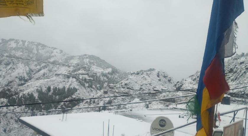 Monaal pyaari pahadi photo