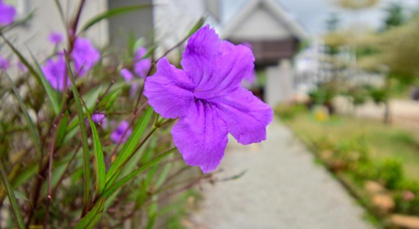 Kuala Terengganu D'Ja Smoke Homestay 2-Star Single Room suite