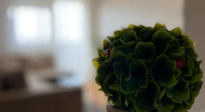 베오그라드 Delete 4 2성급 싱글룸 외관